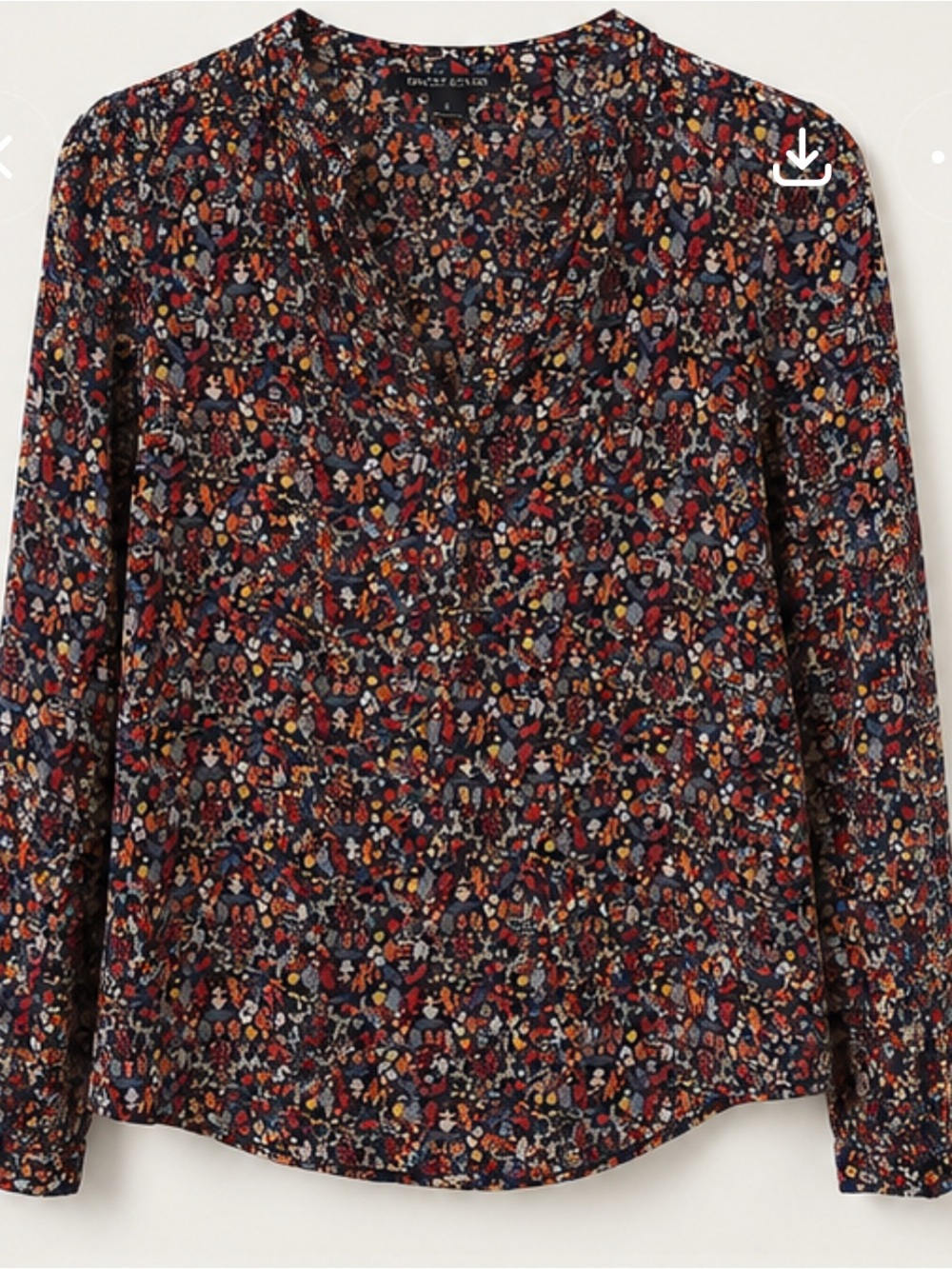 Lucky Brand Floral Long Sleeve Blouse Size Large Boho V-Neck Top L